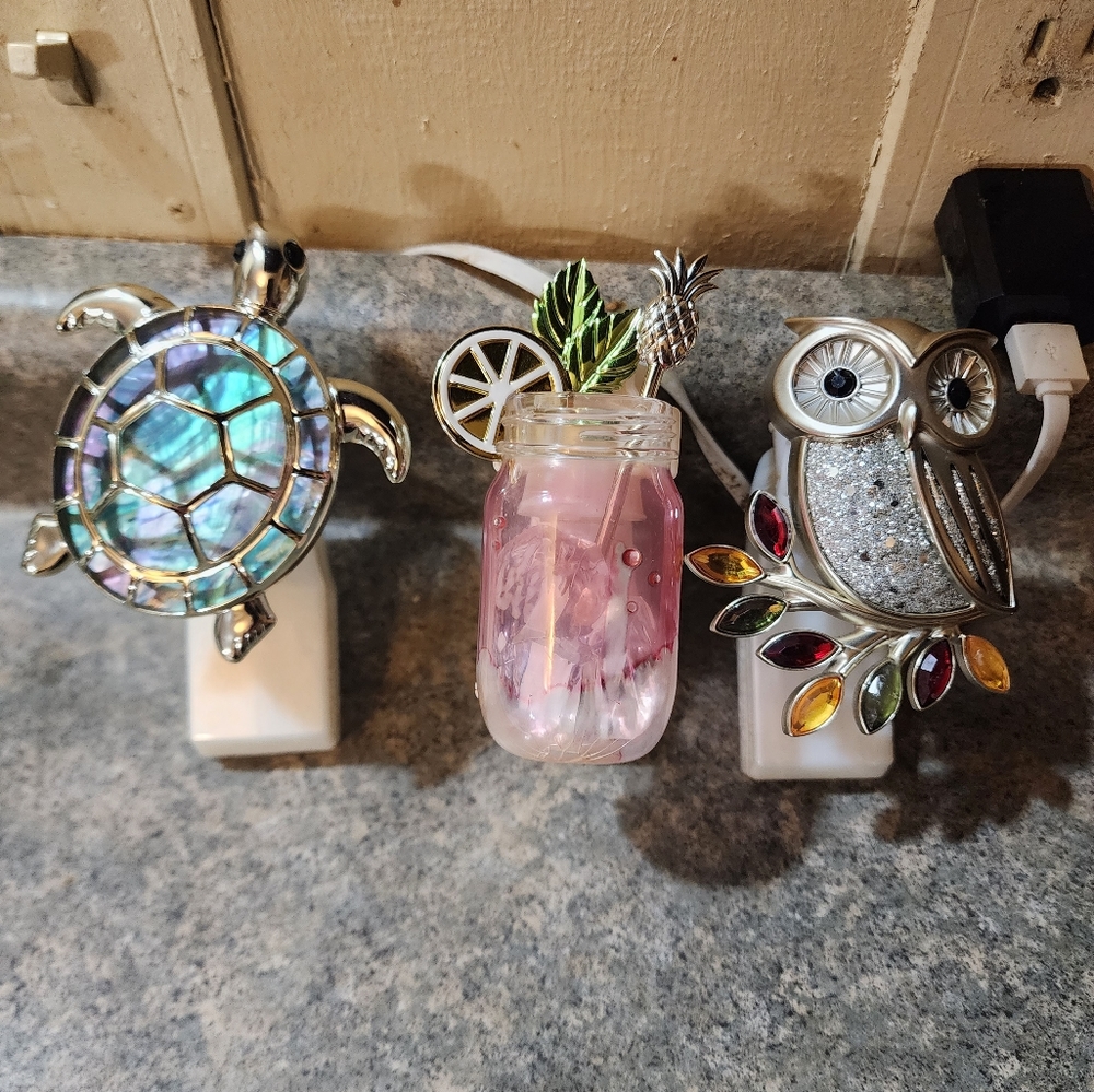 Bath & Body Works Wallflower Plugs
